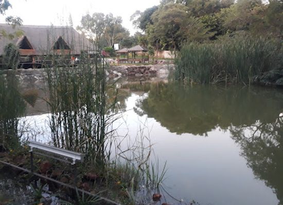 zambia/kafue-flats/landmark/t3c-gardens