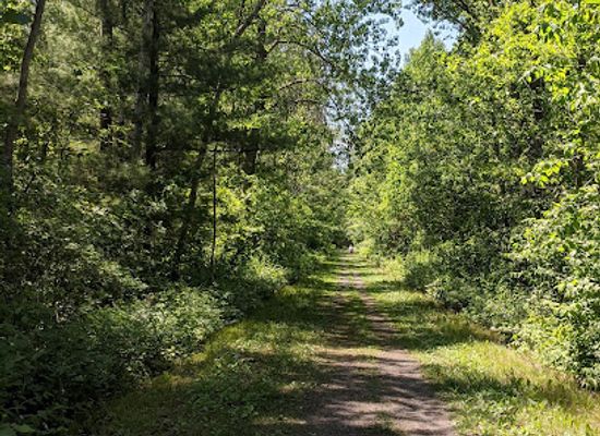 wisconsin/blue-hills/landmark/ice-age-scenic-trail-tuscobia-trail