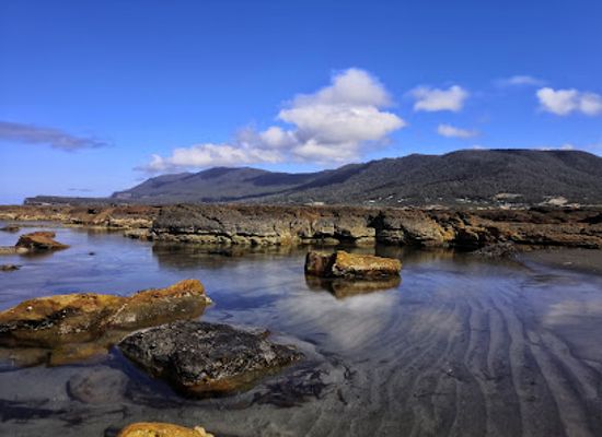 australia/tasmanian-wilderness/landmark/tessellated-pavement
