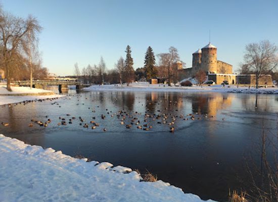 finland/savonlinna/landmark/perlina-di-castello