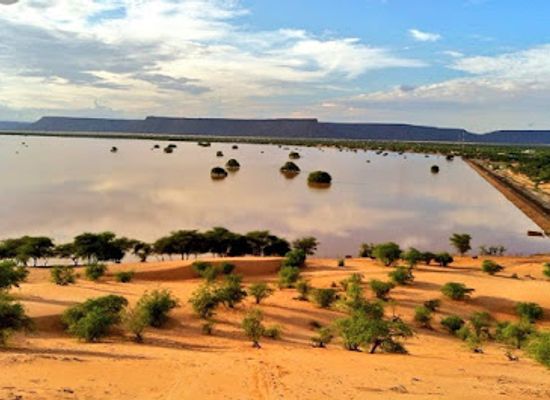 senegal/matam/landmark/djoudj-national-bird-sanctuary