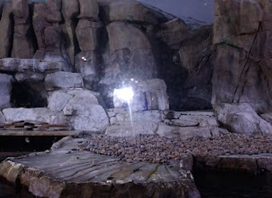 utah/cedar-valley/landmark/loveland-living-planet-aquarium