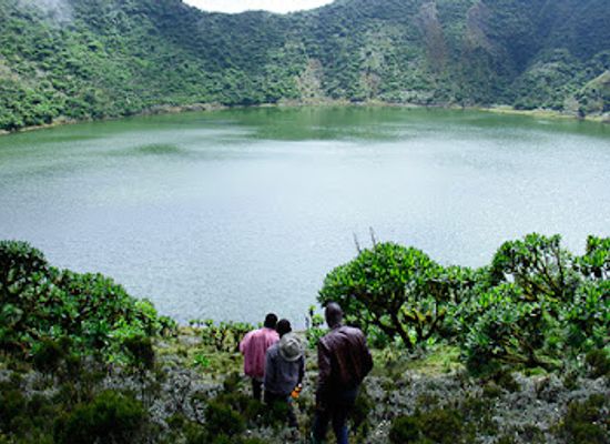 rwanda/southern-province/landmark/rwagasabo-safaris-rwanda