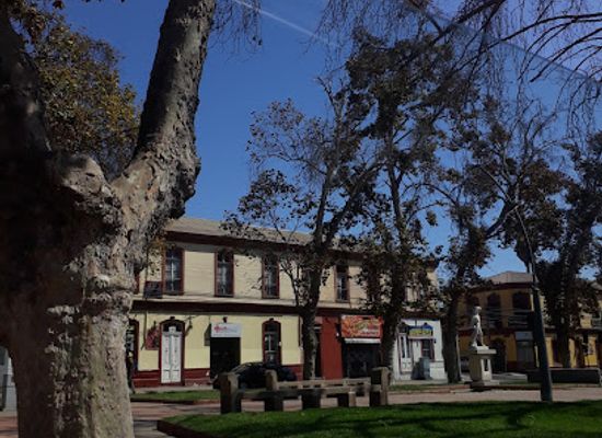 chile/la-serena/la-serena-downtown/landmark/museo-al-aire-libre-de-la-avenida-francisco-de-aguirre