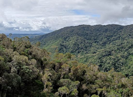 madagascar/andasibe/landmark/parc-national-andasibe-mantadia