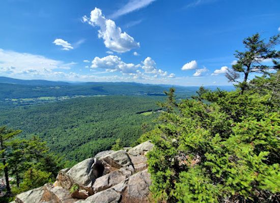 vermont/rutland/landmark/green-mountain-national-forest