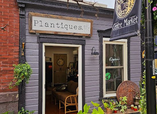 west-virginia/wheeling/landmark/plantiques