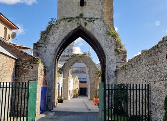 ireland/county-louth/landmark/old-abbey