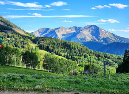 colorado/crested-butte/landmark/crested-butte-wildflower-festival