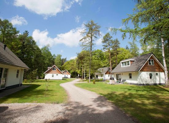 netherlands/utrechtse-heuvelrug/landmark/rcn-vakantiepark-het-grote-bos-camping-en-bungalowpark