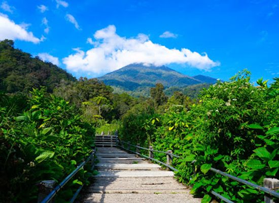 indonesia/west-java/landmark/mount-gede-pangrango-national-park