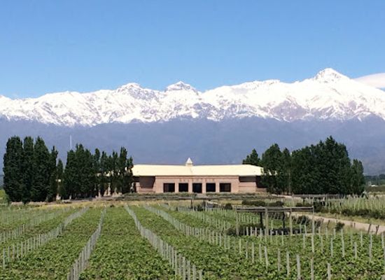 argentina/mendoza/landmark/mendoza-wine-bike-tour-sergio-sanchi