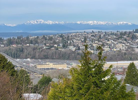 washington/seattle/queen-anne/landmark/west-queen-anne-retaining-walls-willcox-walls
