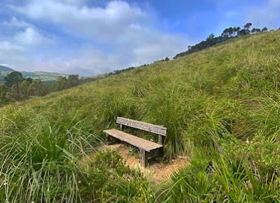 morocco/tetouan/landmark/nakkata-forest