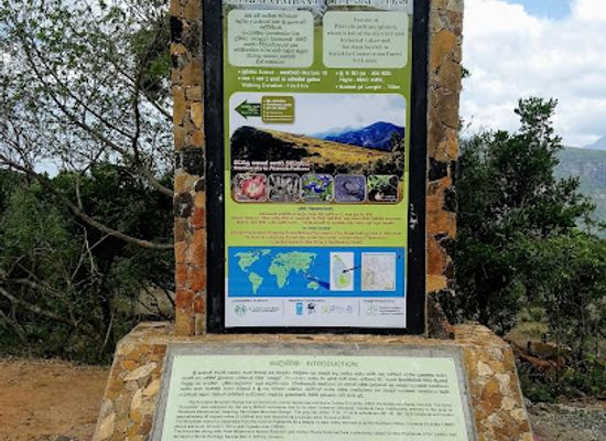 sri-lanka/matale-district/landmark/pitawala-pathana-riverston