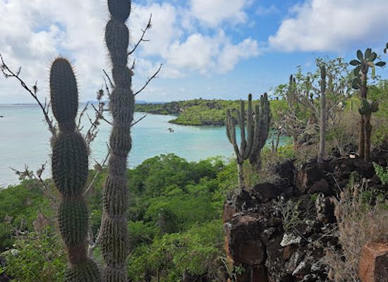 ecuador/puerto-ayora/landmark/galapagos-up-las-grietas