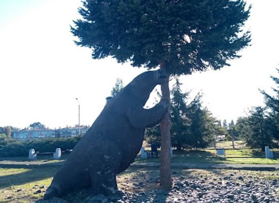 chile/osorno/landmark/auto-museum-moncopulli