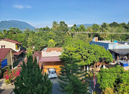 indonesia/bukit-lawang/landmark/bukit-lawang-trust