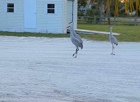 florida/ft-pierce/landmark/savannas-recreation-area