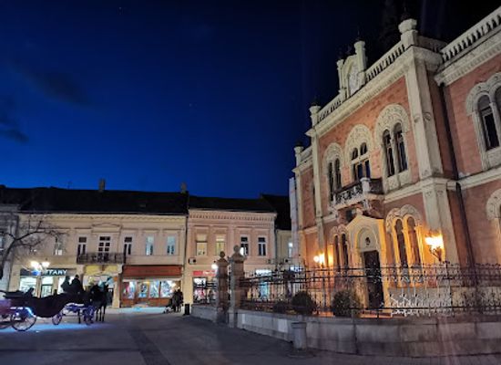 serbia/novi-sad/landmark/vladichanski-dvor