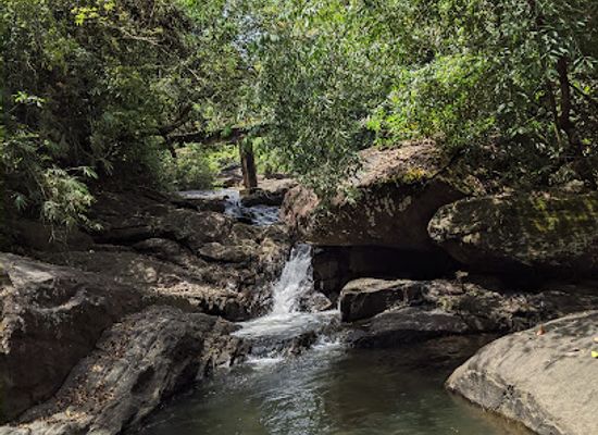 sri-lanka/kalutara-district/landmark/thotas-ella