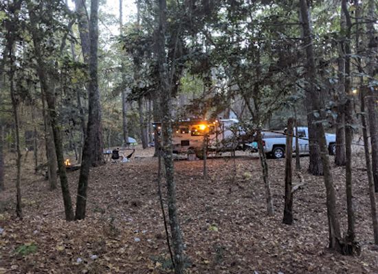 texas/piney-woods/landmark/mission-tejas-state-park
