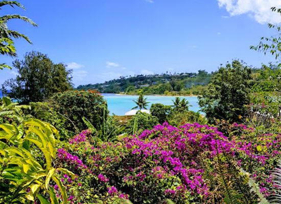 vanuatu/efate/landmark/tana-russet-plaza