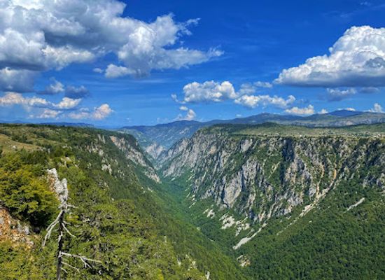 montenegro/tara-river-canyon/landmark/viewpoint-nedajno-susica-canyon