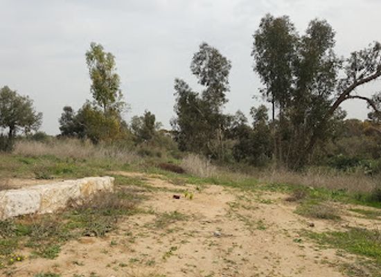 israel/shephelah/landmark/andrtt-khll-krvvt-gvlis