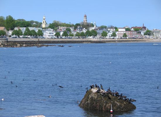 massachusetts/gloucester/landmark/hammond-castle-museum