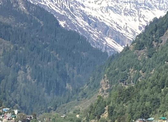 india/manali/landmark/dylan-s-toasted-roasted-coffee-house-best-coffee-house-pioneer-of-real-coffee-most-popular-cafe-for-world-famous