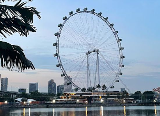 singapore/central-region/landmark/singapore-flyer