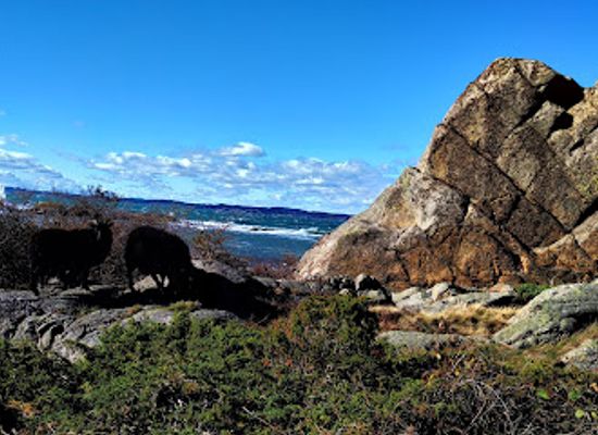 norway/vestfold-og-telemark/landmark/farder-national-park