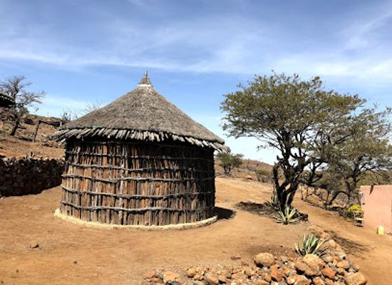 djibouti/obock/landmark/day-forest-national-park