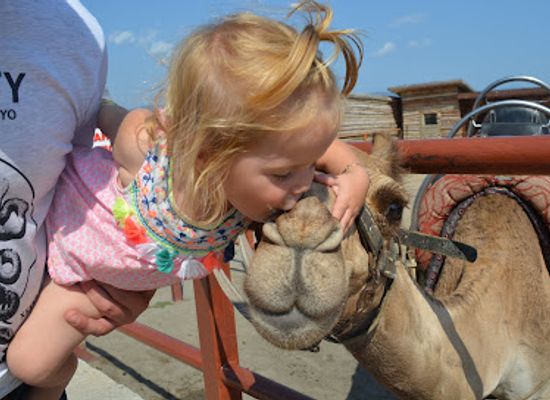 bulgaria/burgas-region/landmark/camel-park-sunny-beach