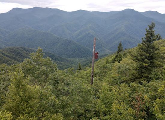 south-carolina/blue-ridge-mountains/landmark/green-knob-lookout-tower