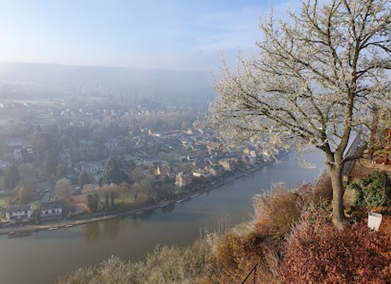belgium/entre-sambre-et-meuse/landmark/la-fete-au-palais