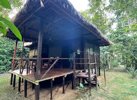 bolivia/amazon-basin/landmark/chalalan-ecolodge