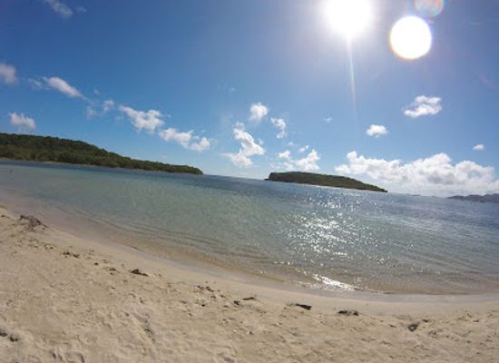 puerto-rico/vieques-island/landmark/el-quenepo-vieques