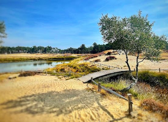 netherlands/veluwe/landmark/bornia-utrechtslandschap