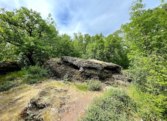 bulgaria/northeast-bulgaria/landmark/the-stone-thracian-sanctuary
