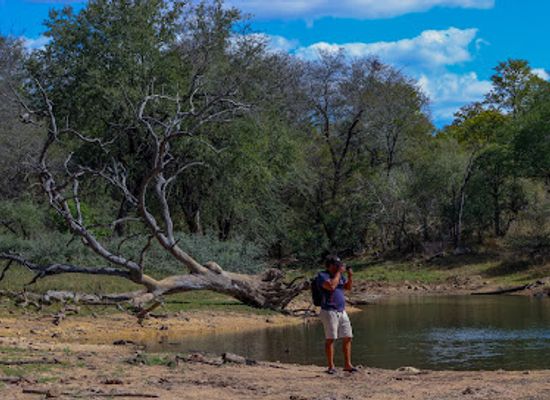 zimbabwe/lowveld/landmark/save-valley-conservancy