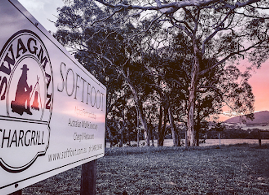 australia/fleurieu-peninsula/landmark/swagman-country-dining-softfoot