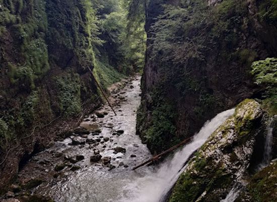 romania/bihor/landmark/cheile-galbenei