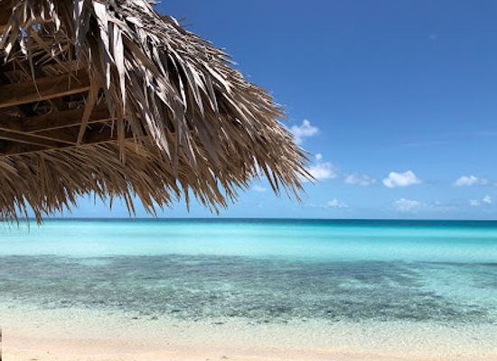 the-bahamas/rum-cay/landmark/eleuthera-island-farm