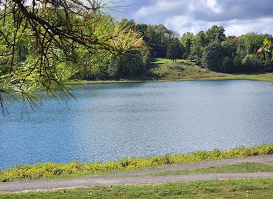 illinois/ferne-clyffe-state-park/landmark/ferne-clyffe-lake