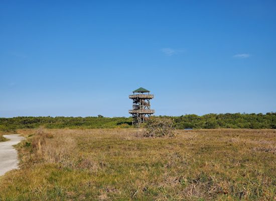 florida/sun-coast/landmark/robinson-preserve