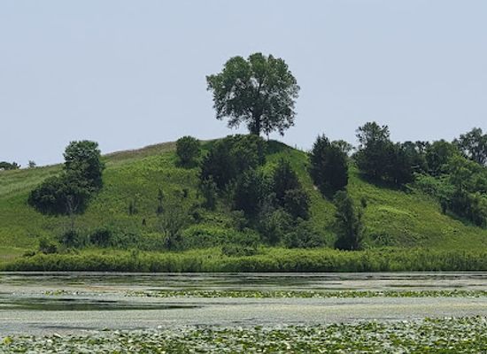 illinois/fox-valley/landmark/dr-martin-luther-king-jr-park