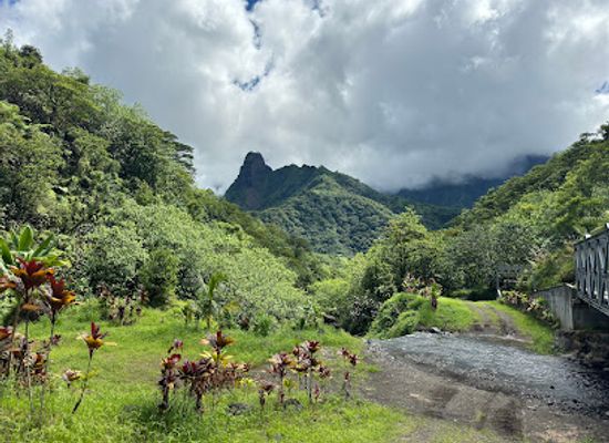 french-polynesia/tahiti/landmark/tetapua-quad-adventures-tahiti