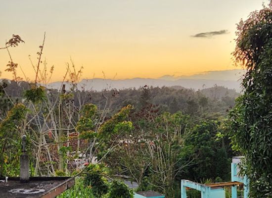 puerto-rico/sierra-de-cayey/landmark/cultura-bar-artesanal